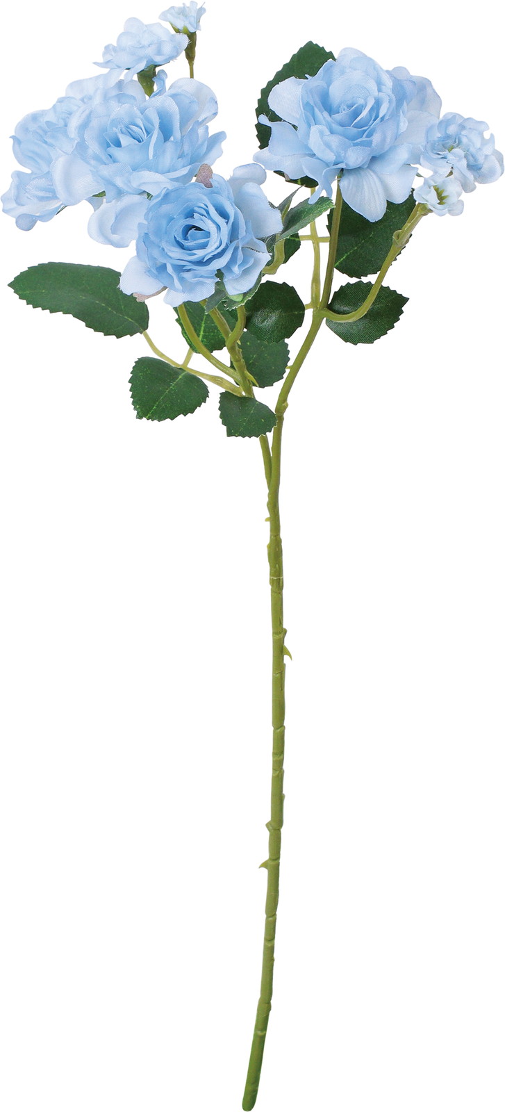 �����۰�޽��ڰ