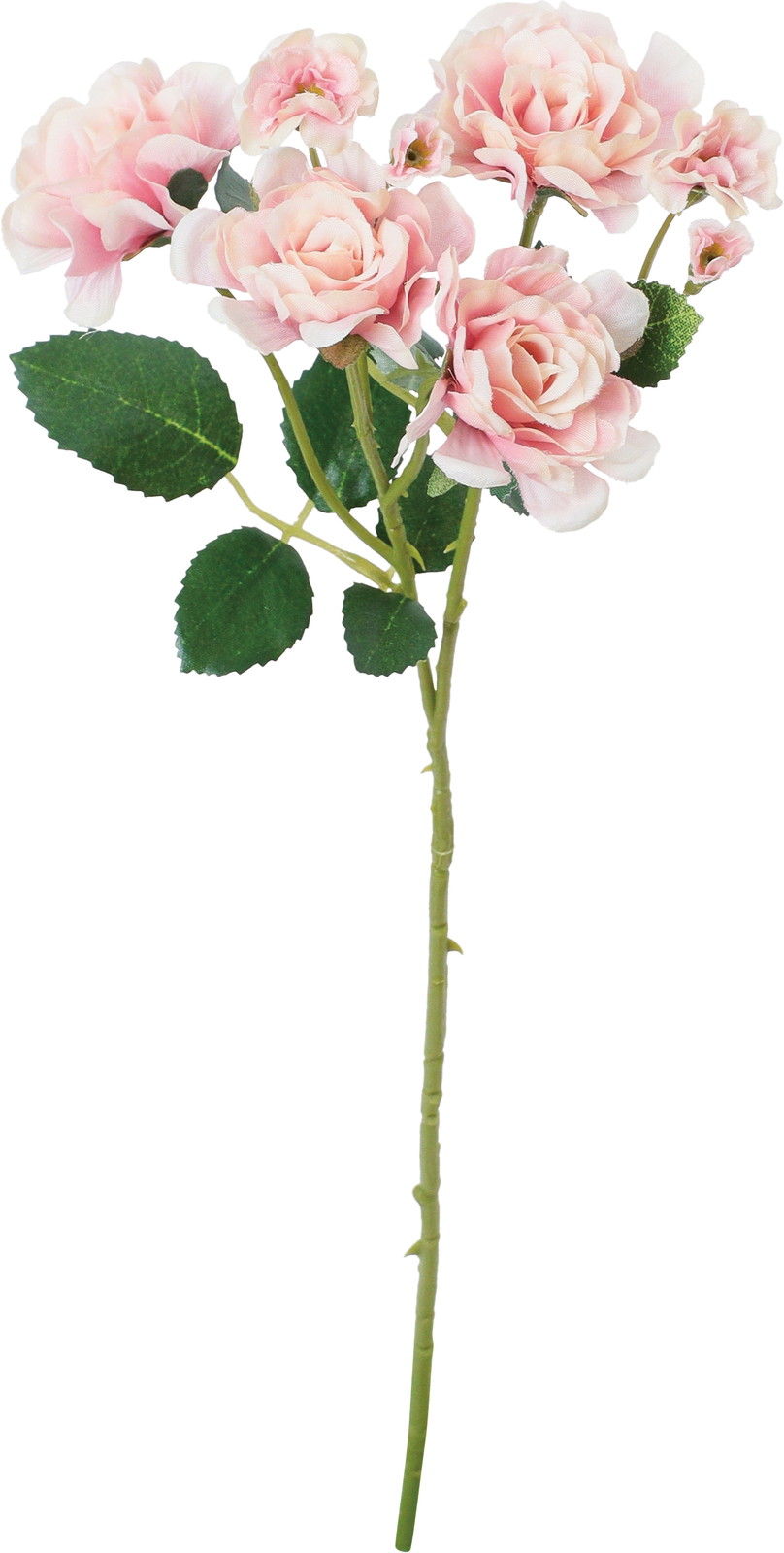 �����۰�޽��ڰ