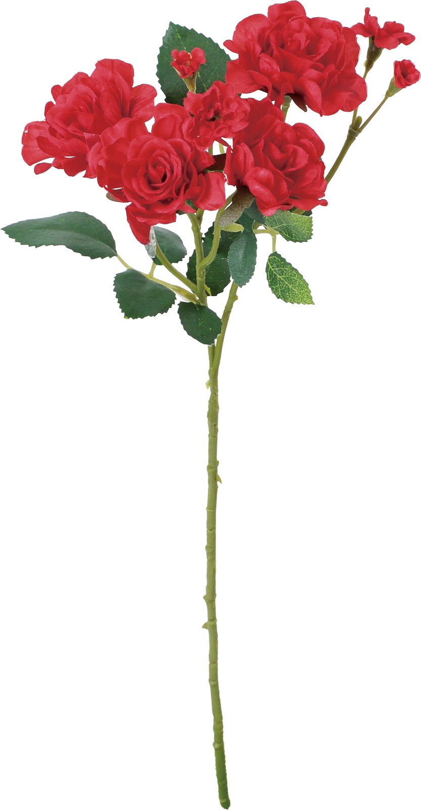 �����۰�޽��ڰ