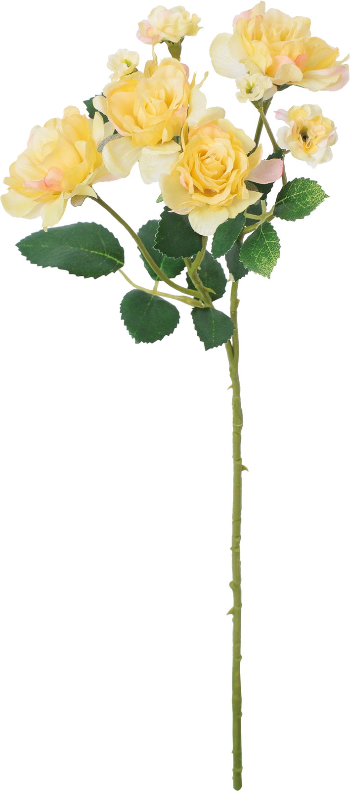 �����۰�޽��ڰ