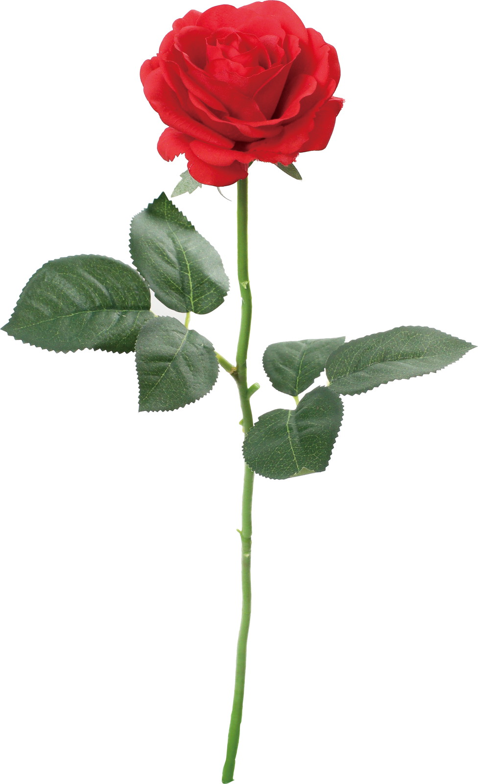 ���گ�۰��