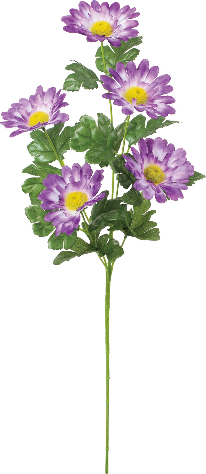 ラージデイジースプレー