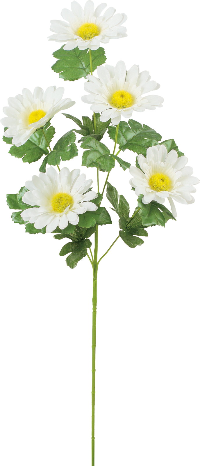 װ���޲�ް���ڰ