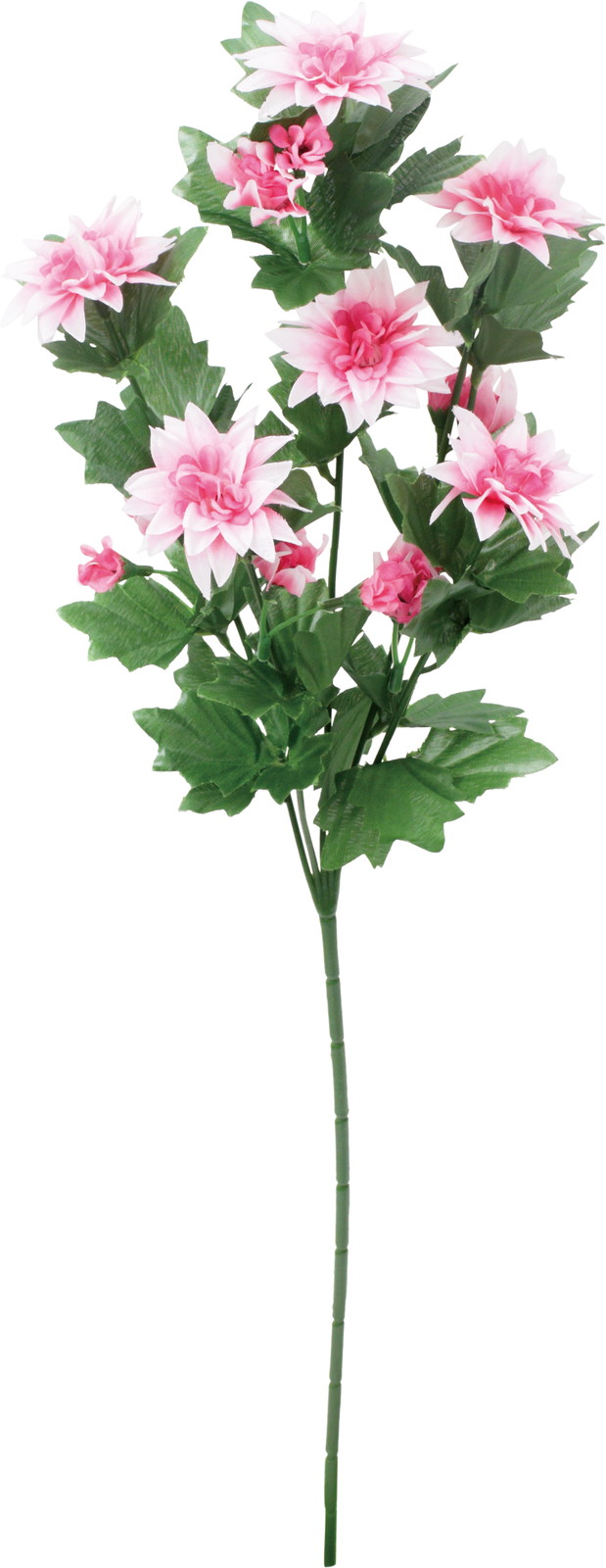 ��ر����-