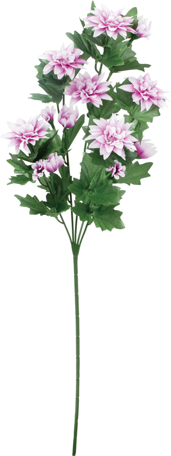 ��ر����-