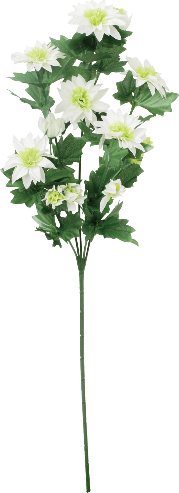 ��ر����-