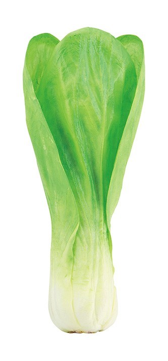 �y�l��z���s�z�ݹ�ݍ�