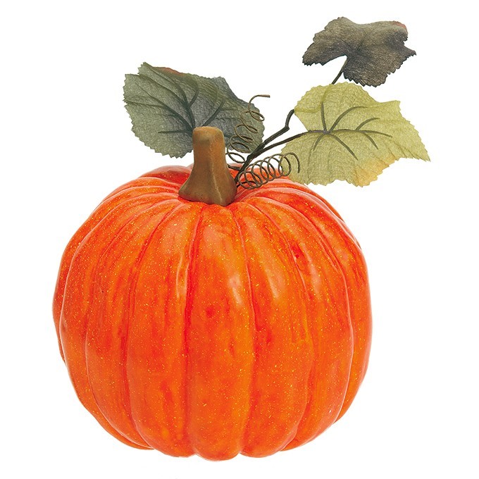 【個人宅配送不可】オハイオパンプキン(L)<BC付>