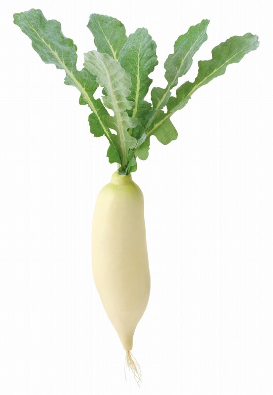 【個人宅配送不可】ダイコン(4本/パック)<BC付>