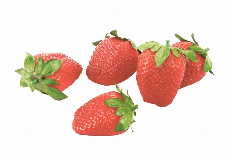 【個人宅配送不可】フレッシュストロベリー(5ケ/パック)(ソフトタッチ)<BC付>