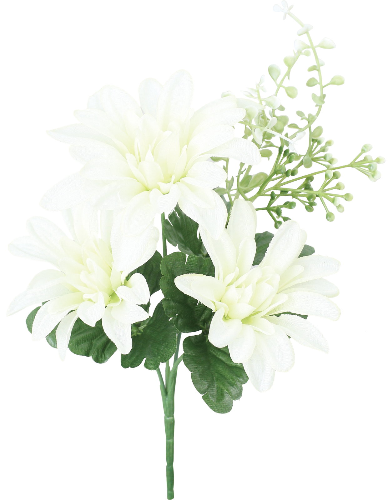 ダリアミックスブッシュ