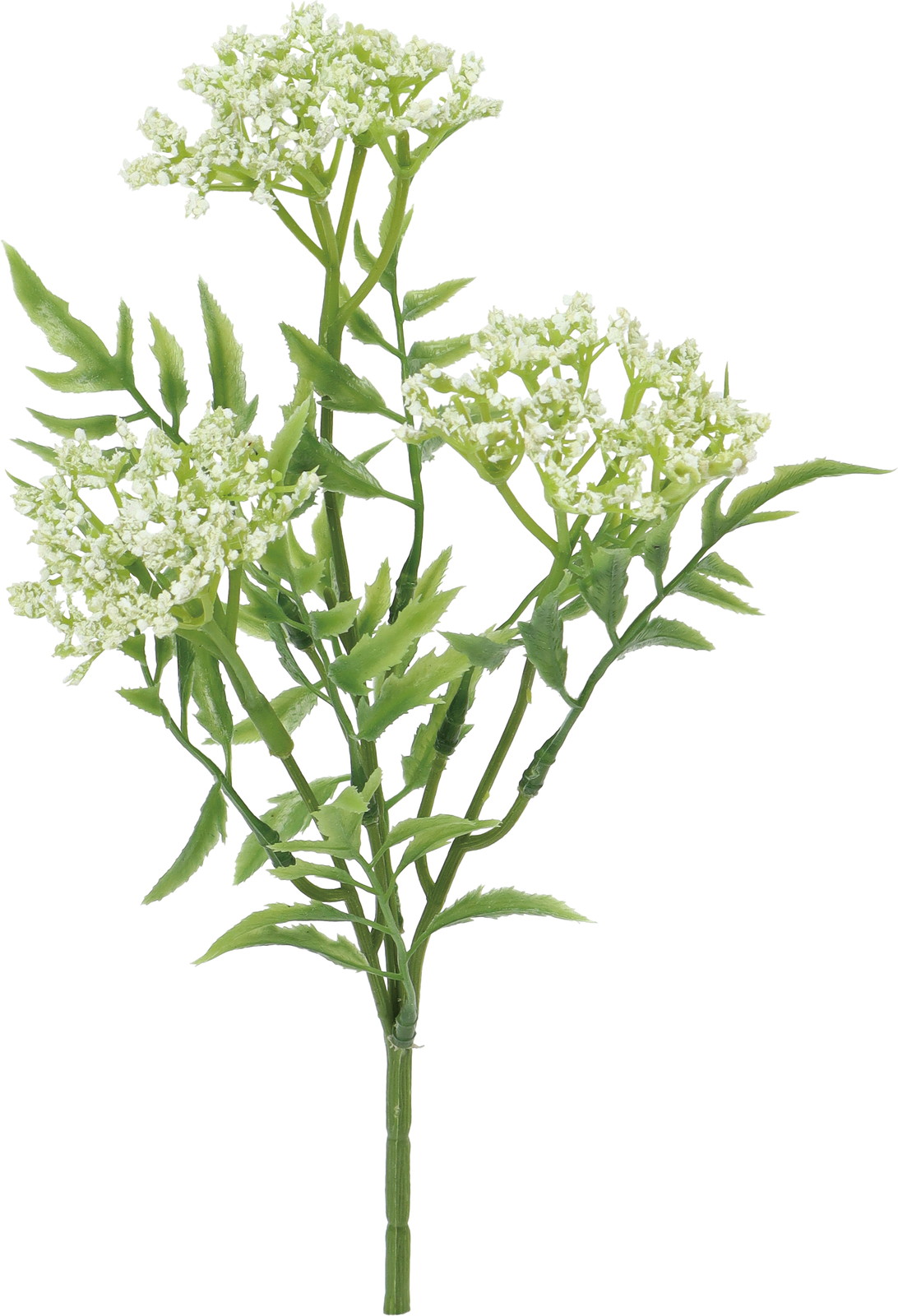 �ɰ�ް��ޯ��