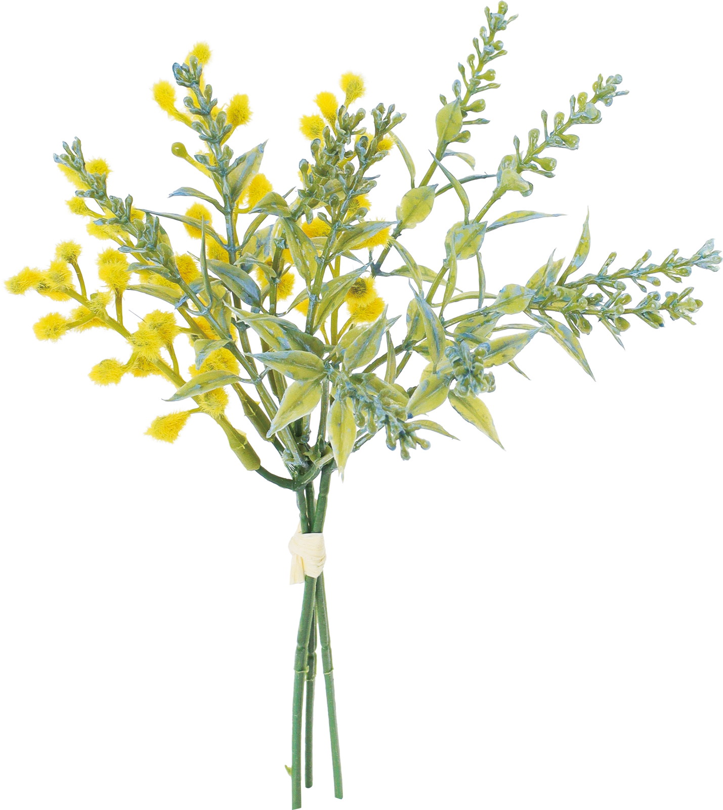 �ӻ�Я��������