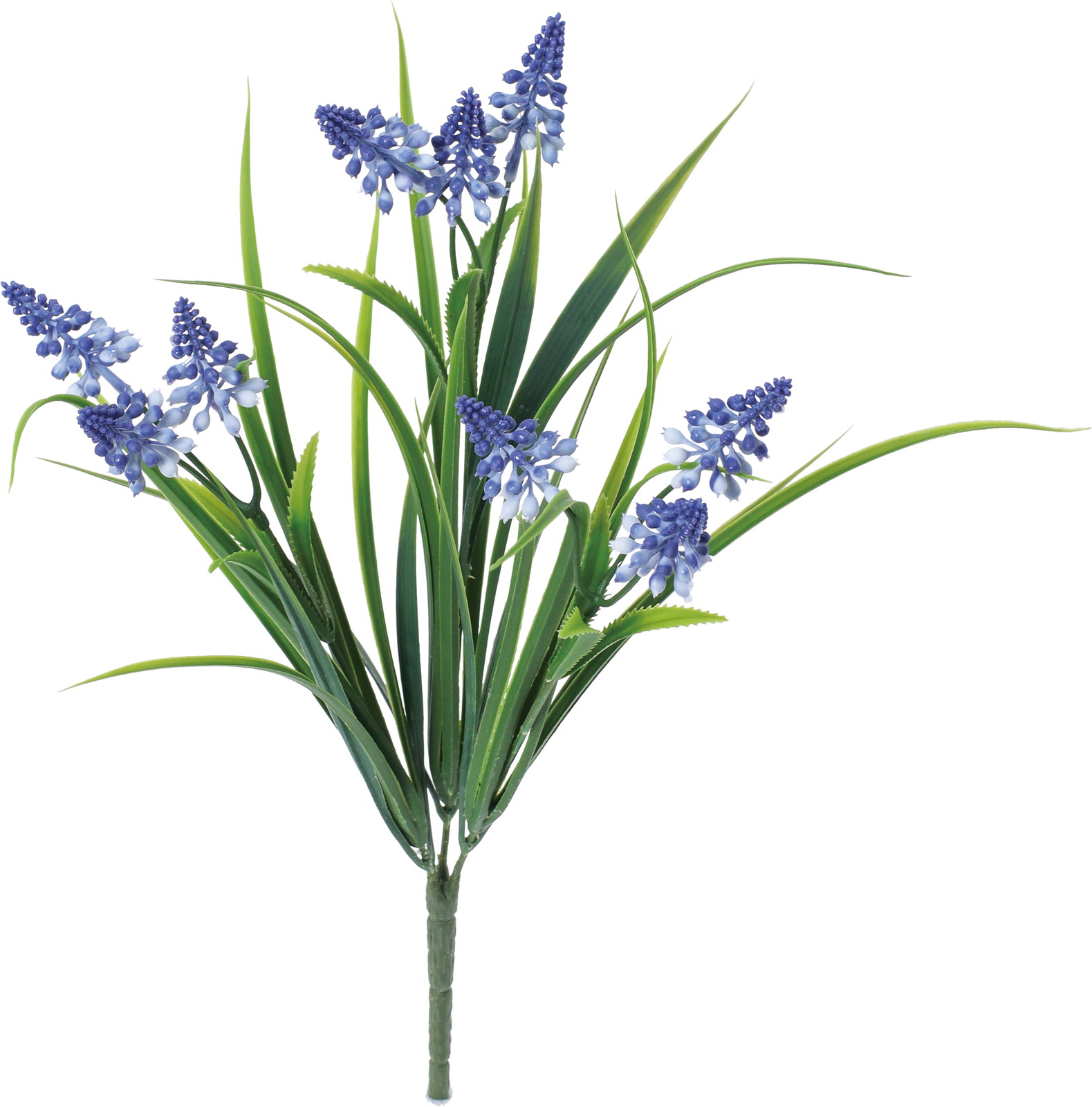 ムスカリブッシュ