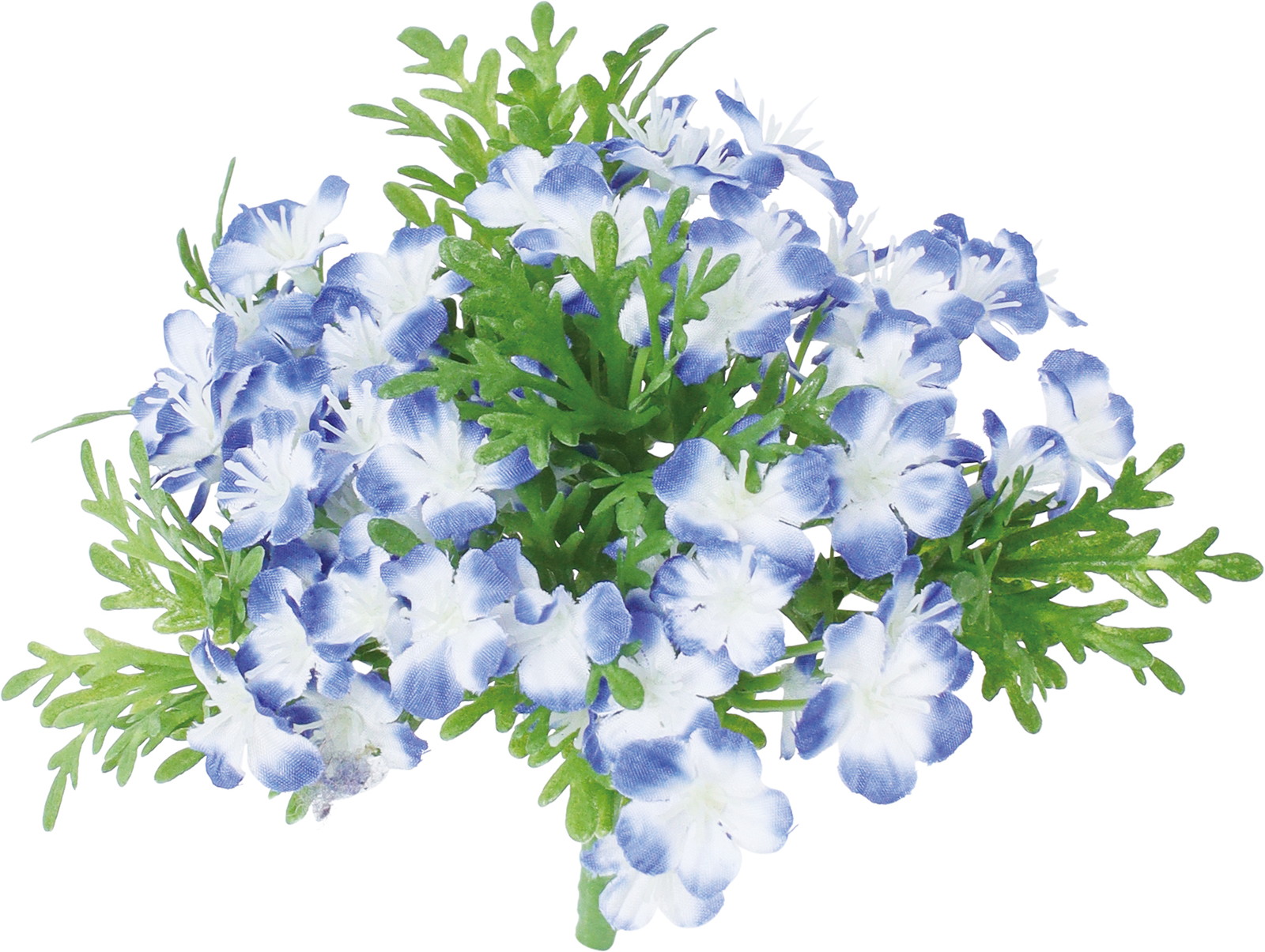 ��̨��ޯ��