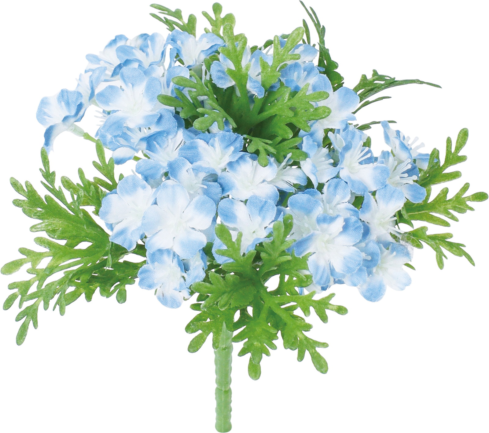 ��̨��ޯ��