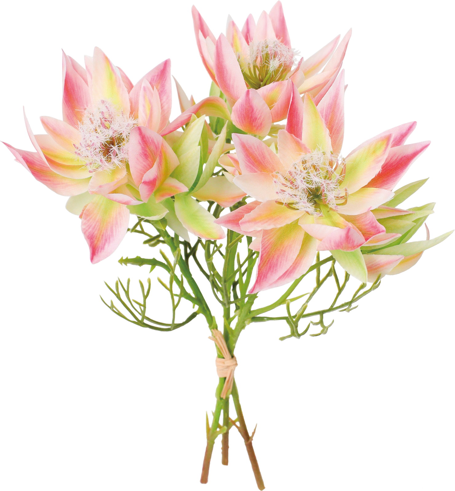 ��ر������