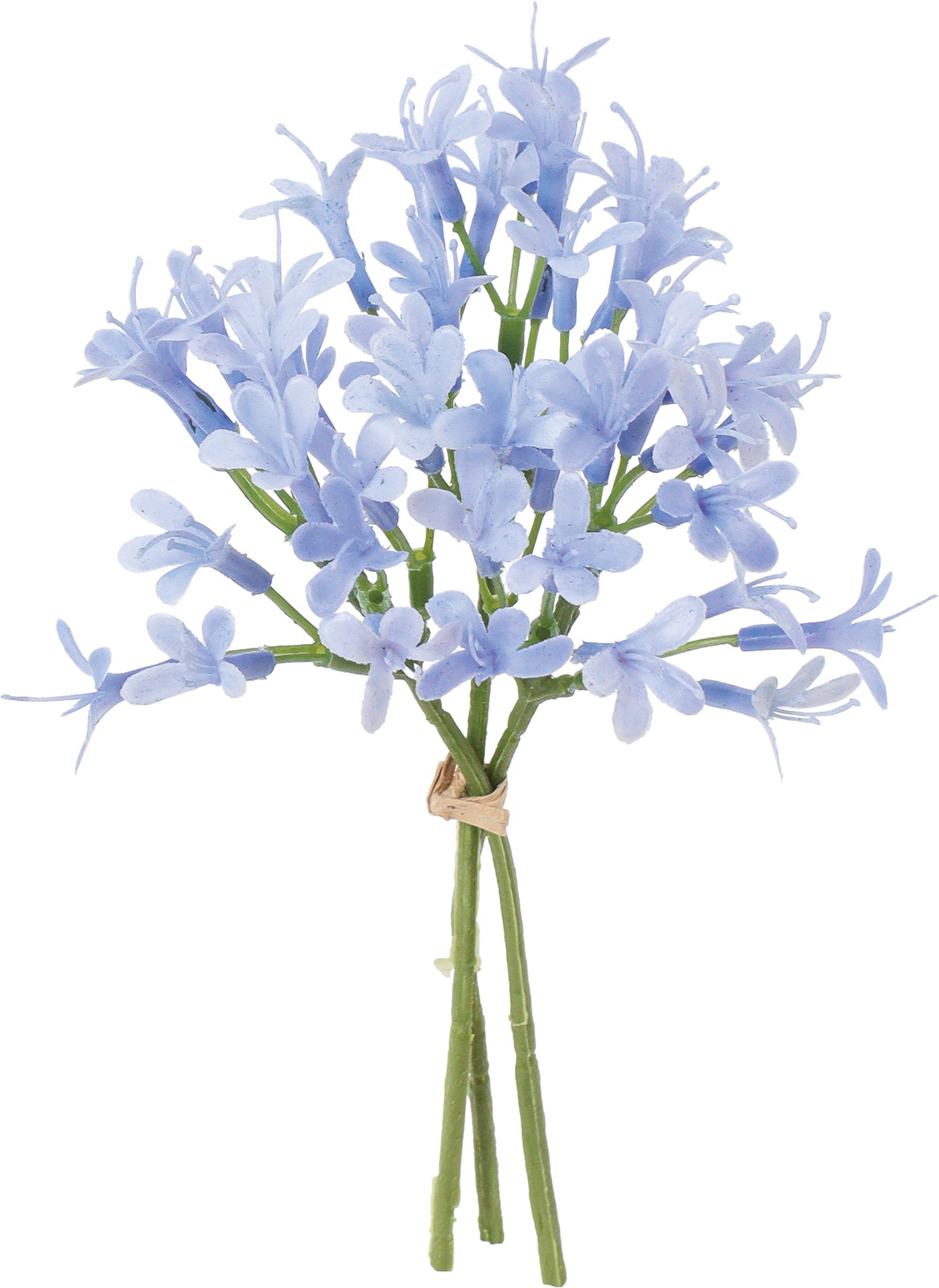 ����ر������