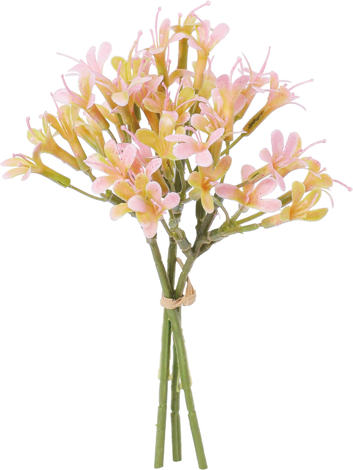 ����ر������