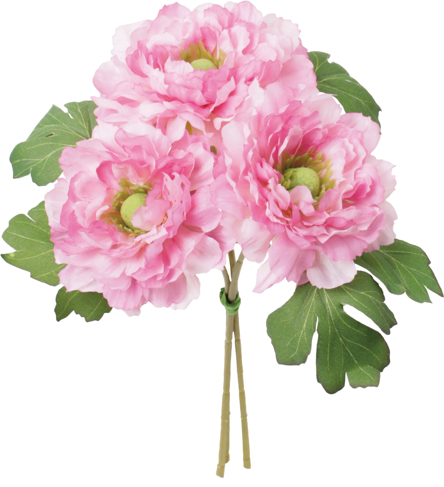 ��ݷ�׽������