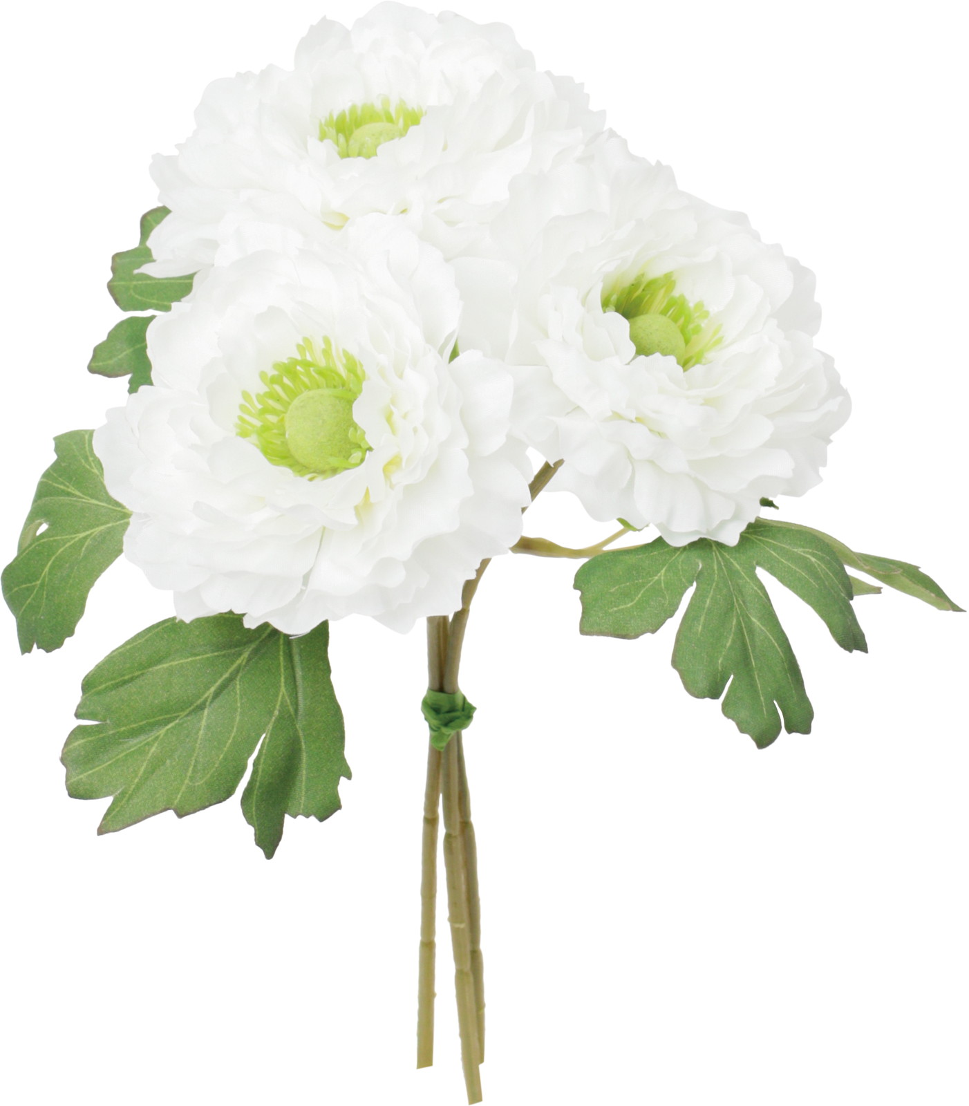 ��ݷ�׽������