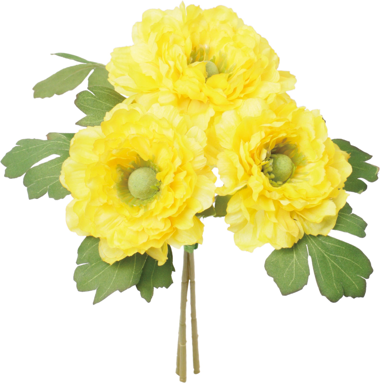 ��ݷ�׽������