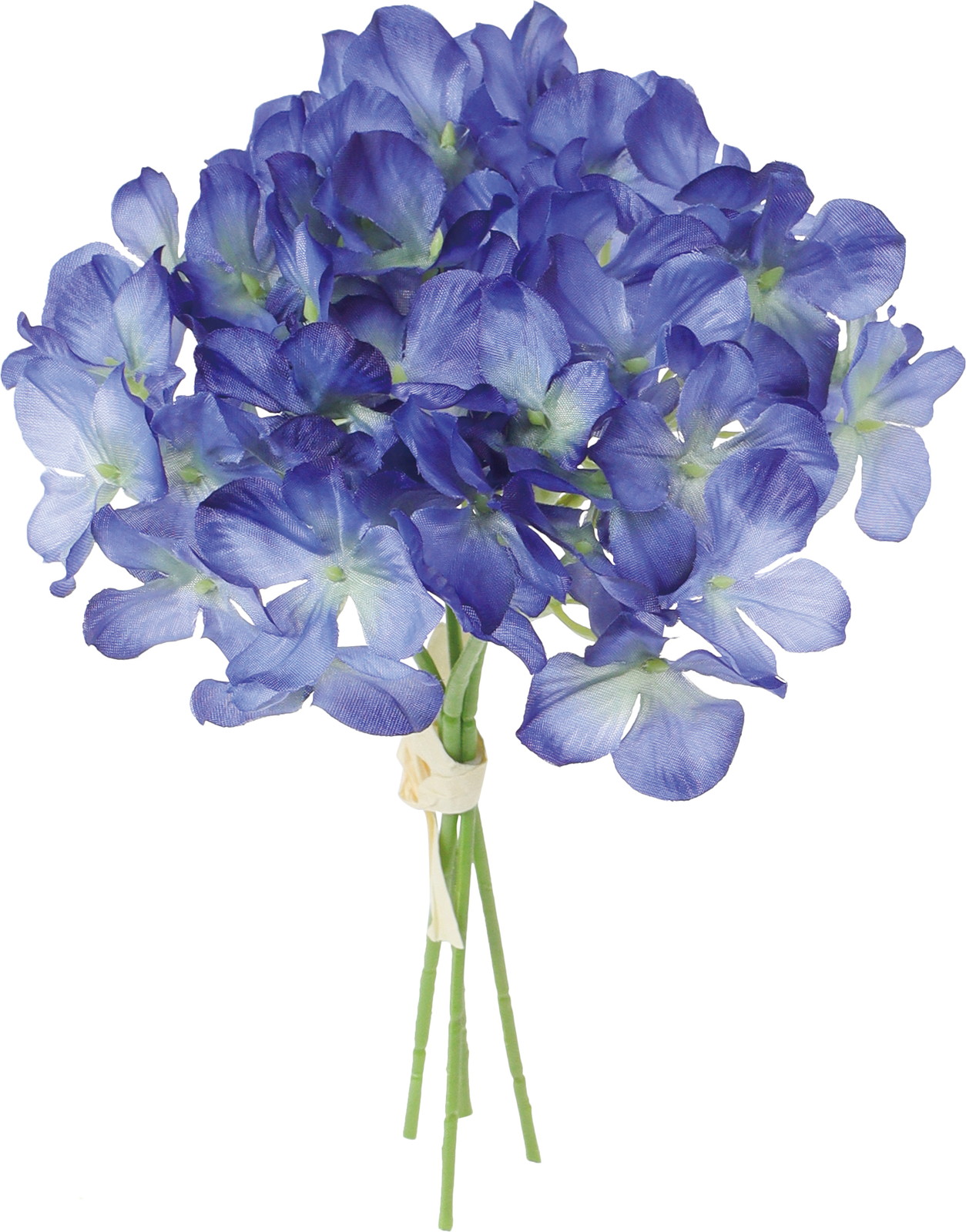 ʲ���ݼޱ������