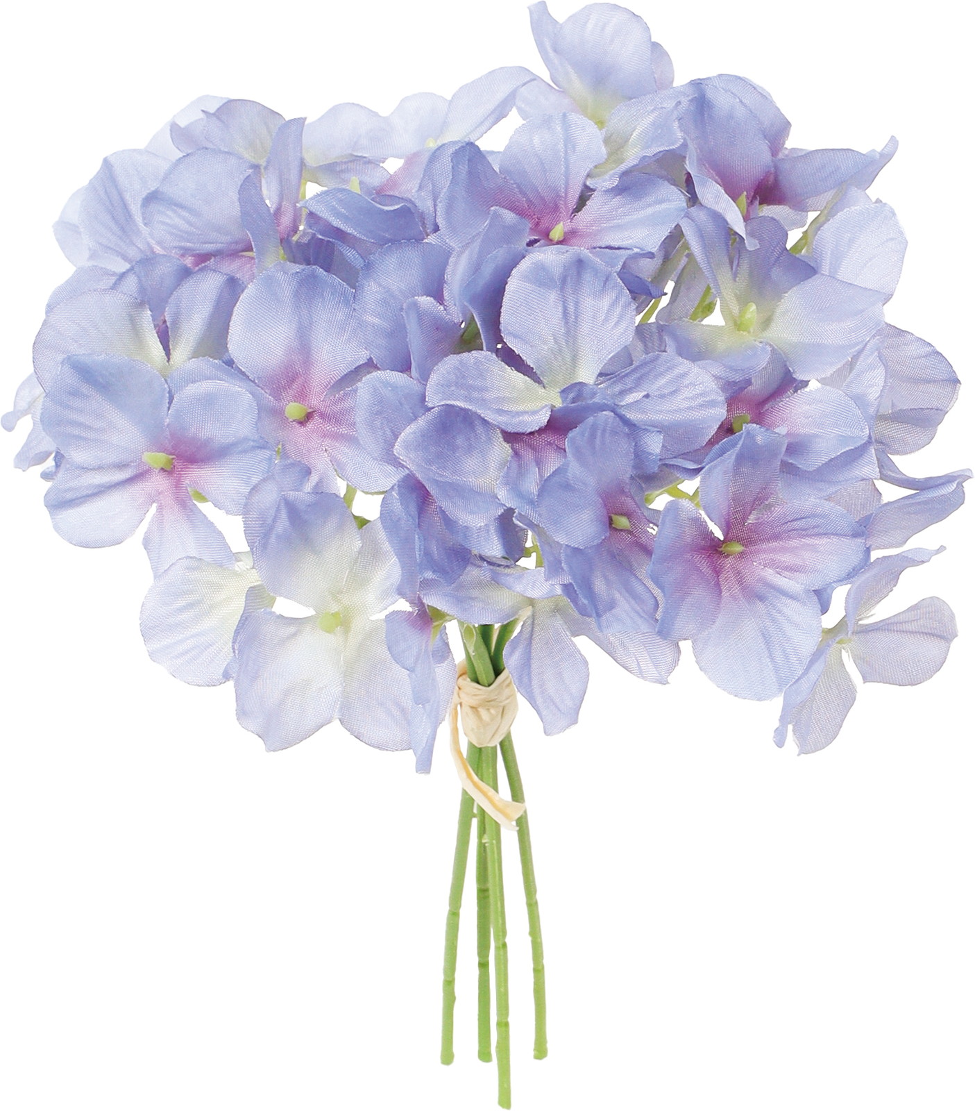 ʲ���ݼޱ������