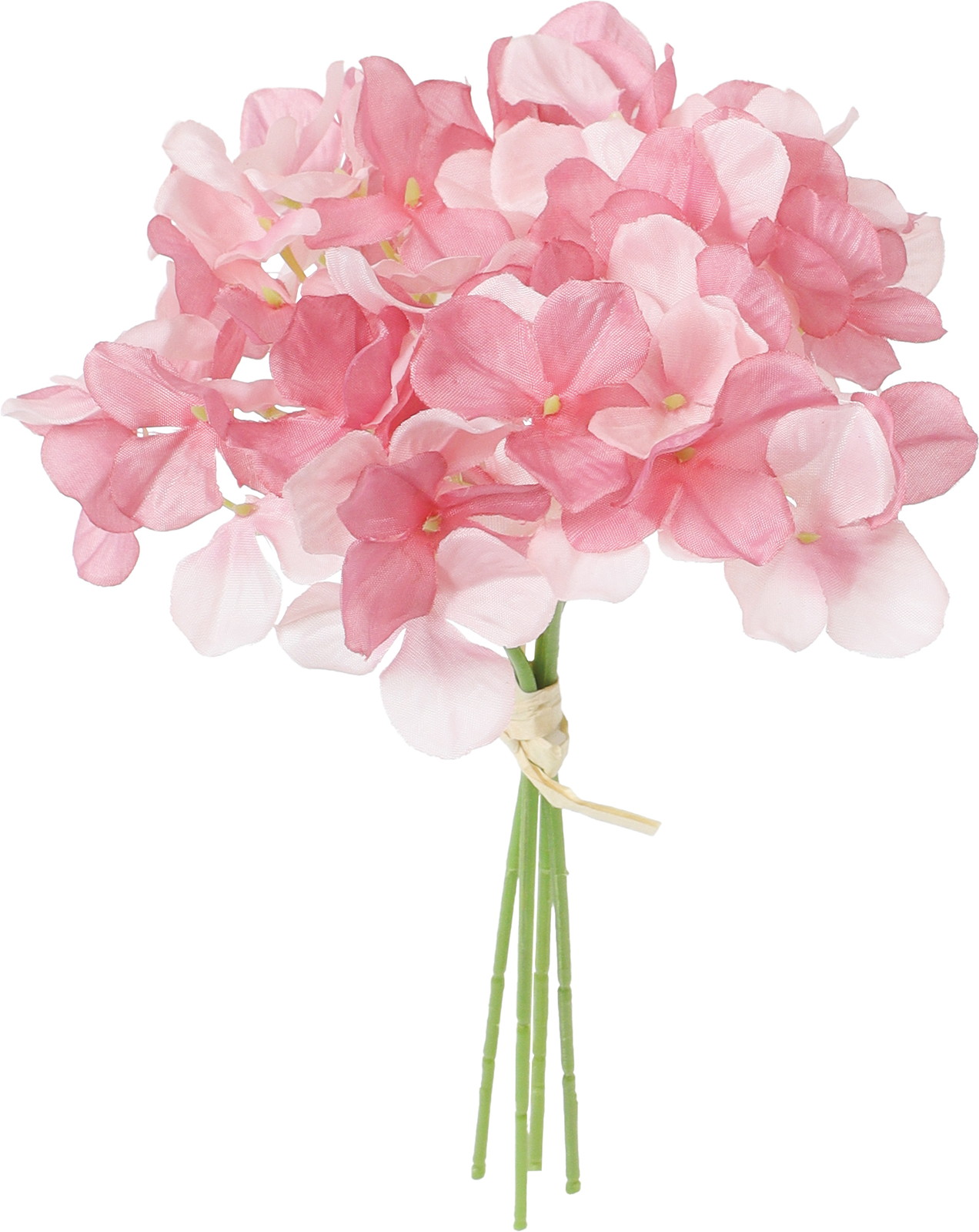 ʲ���ݼޱ������