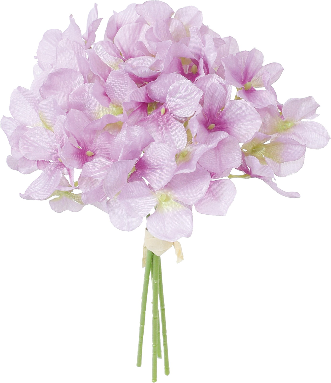 ハイドレンジアバンドル