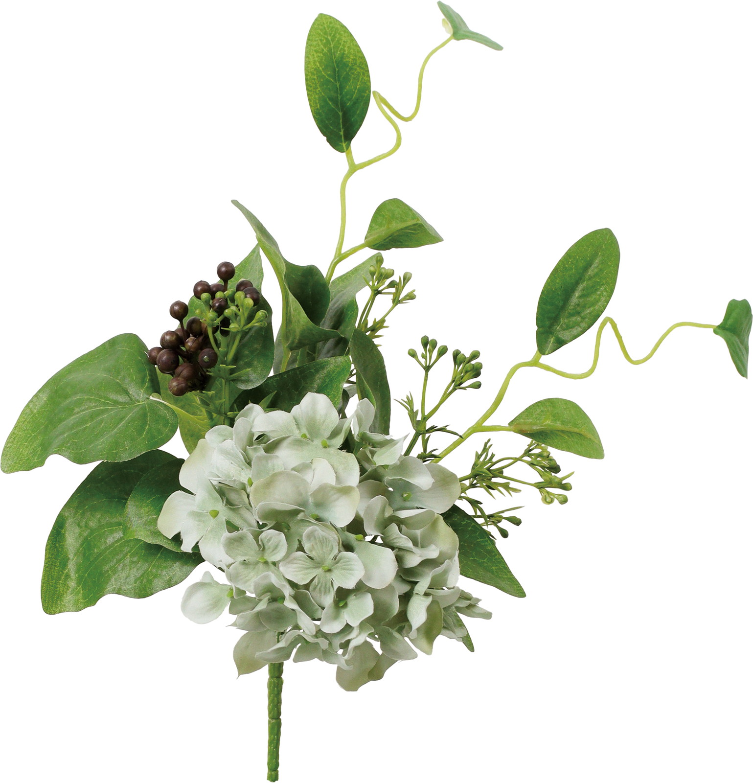 ʲ���ݼޱЯ���ޯ��