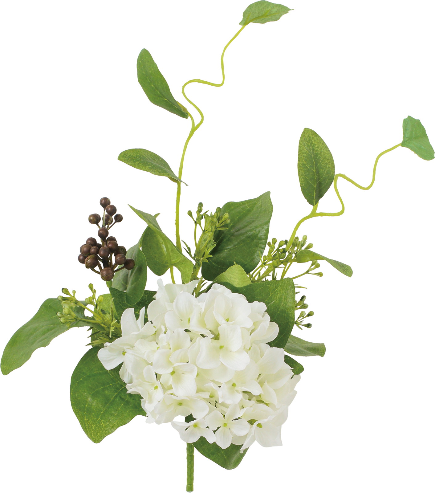 ʲ���ݼޱЯ���ޯ��