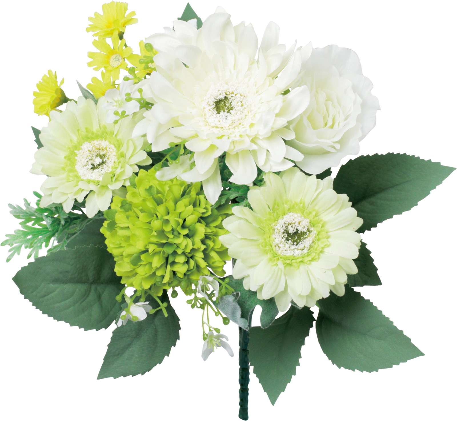 �ް��ױ�ݼ��ޯ��M