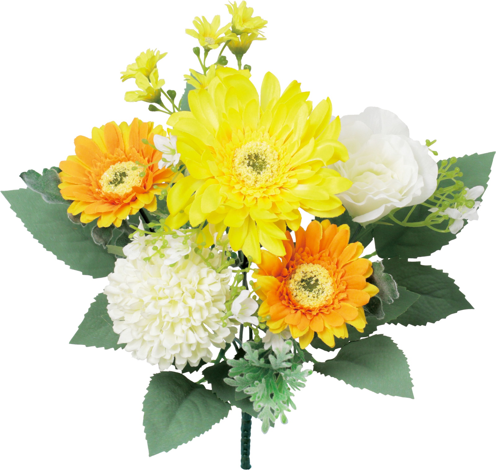 �ް��ױ�ݼ��ޯ��M