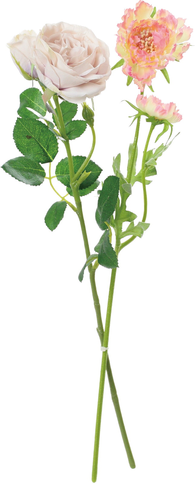 �ï���ް�۰��&���޵�