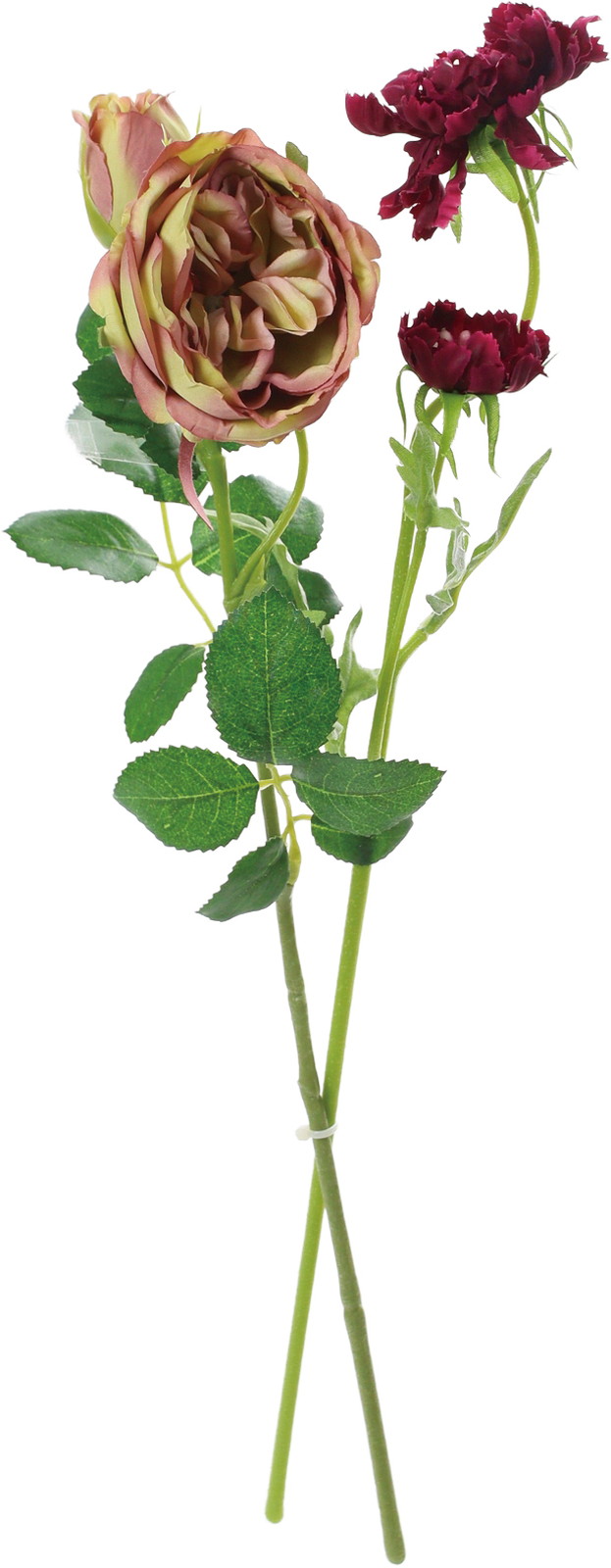 �ï���ް�۰��&���޵�