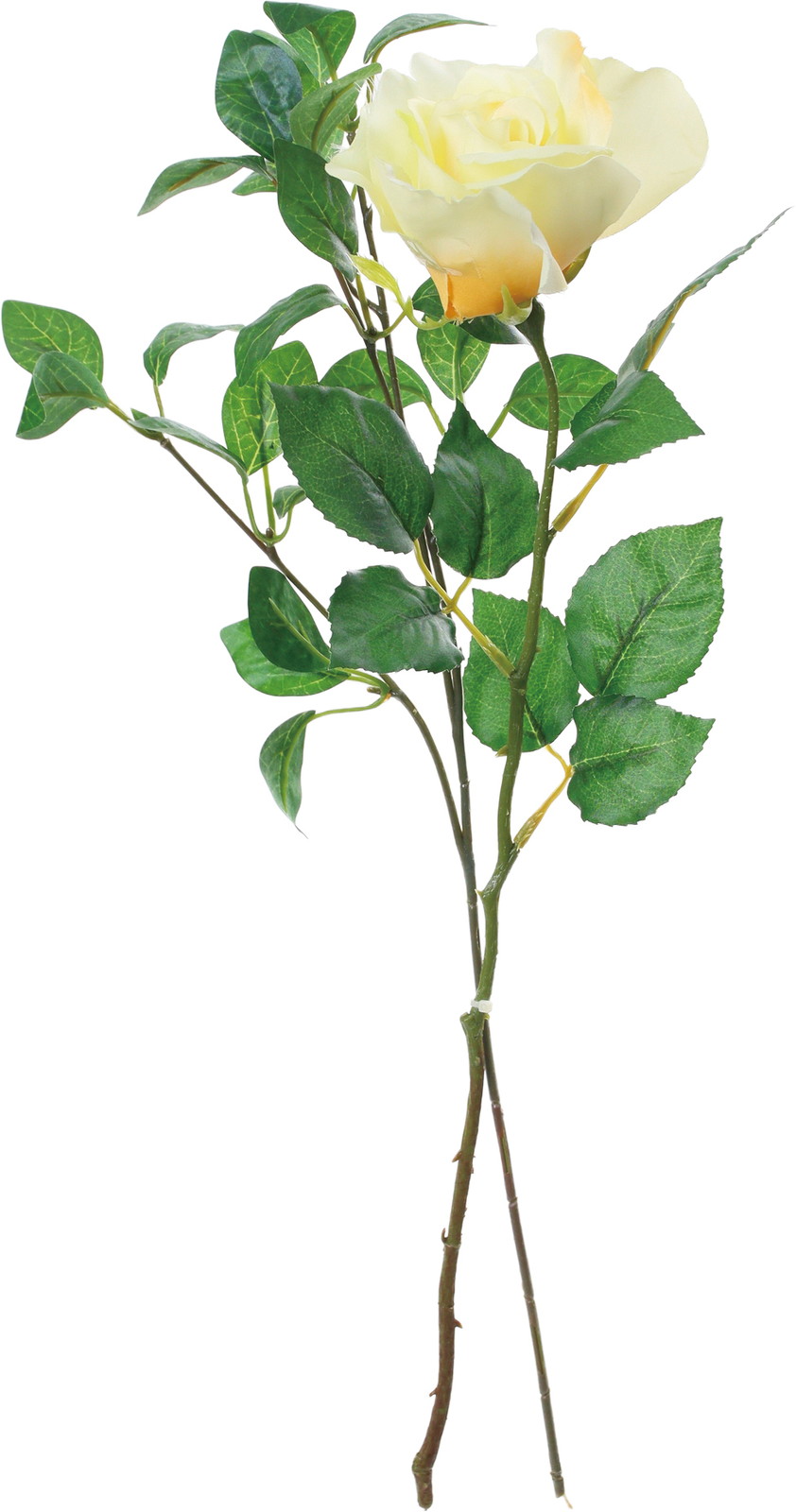 �ï���ް�۰��&ذ�