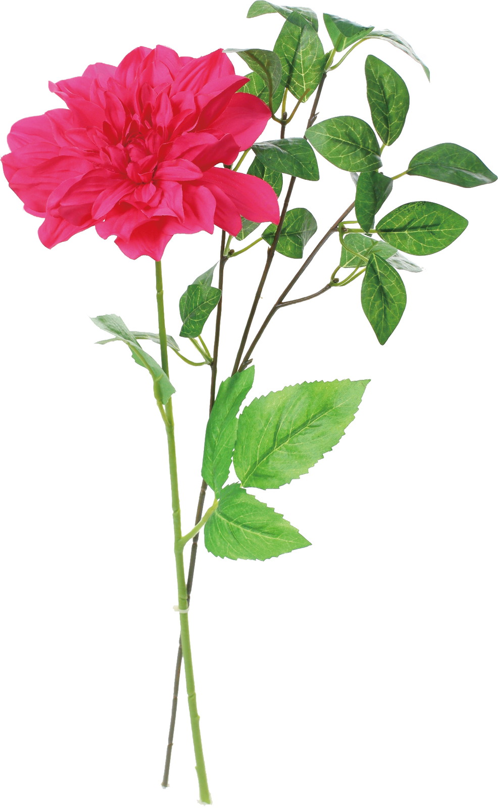 �ï���ް���ر&ذ�