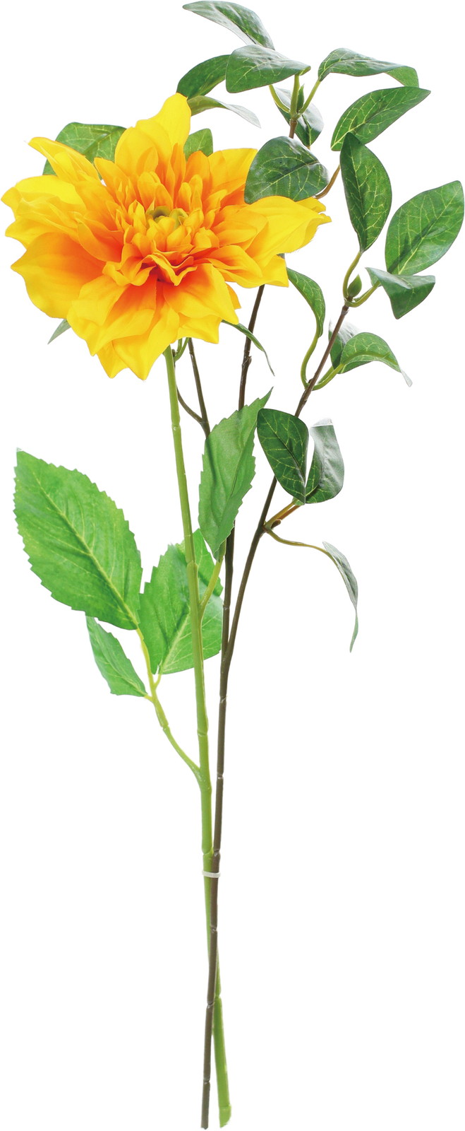 �ï���ް���ر&ذ�