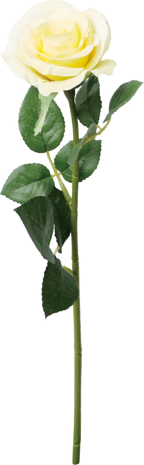 ��̫�ļݸ��۰��