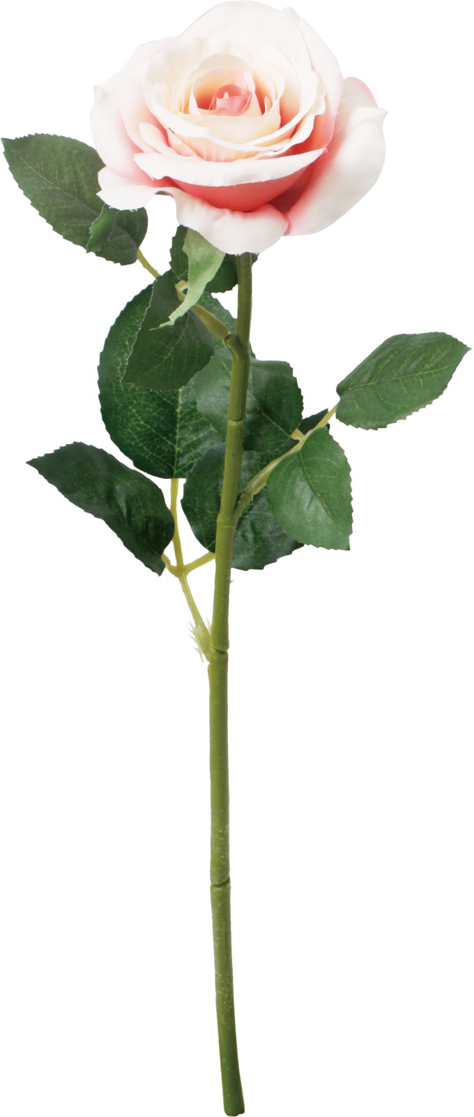 ��̫�ļݸ��۰��