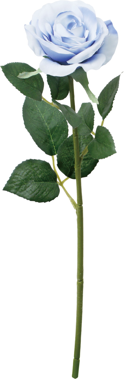 ��̫�ļݸ��۰��