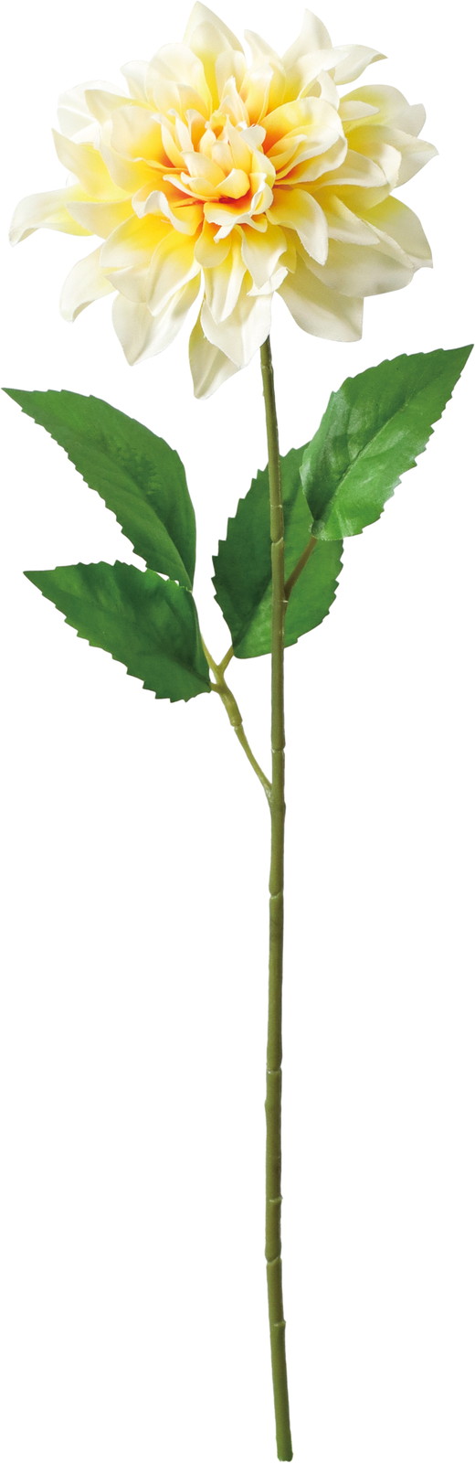 ��̫�Ķްȯ���ر