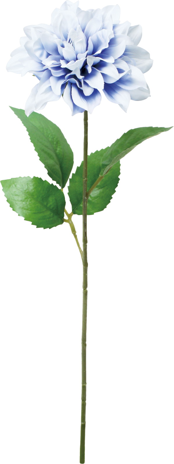 ��̫�Ķްȯ���ر