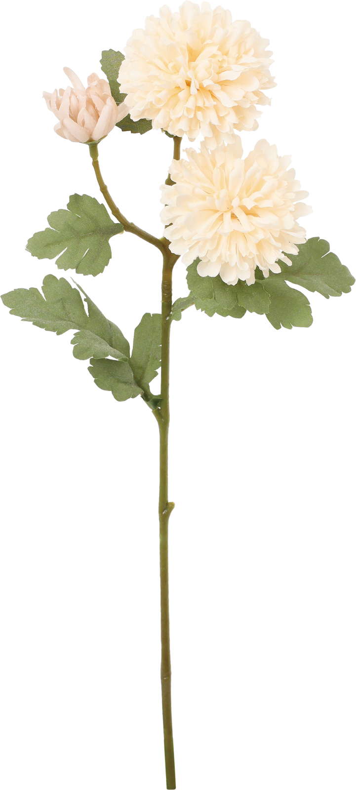 クレールボールマムスプレー