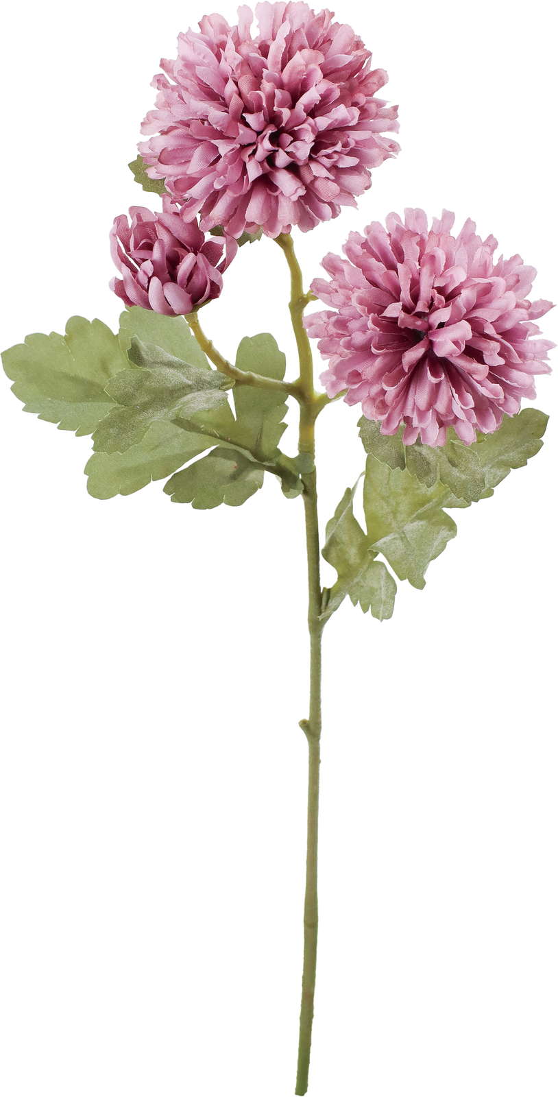 クレールボールマムスプレー