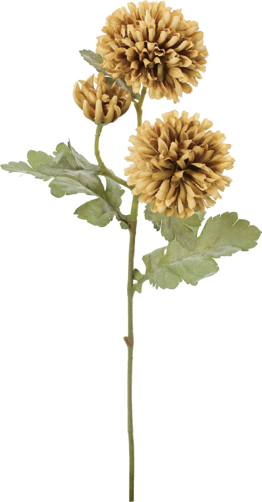 クレールボールマムスプレー