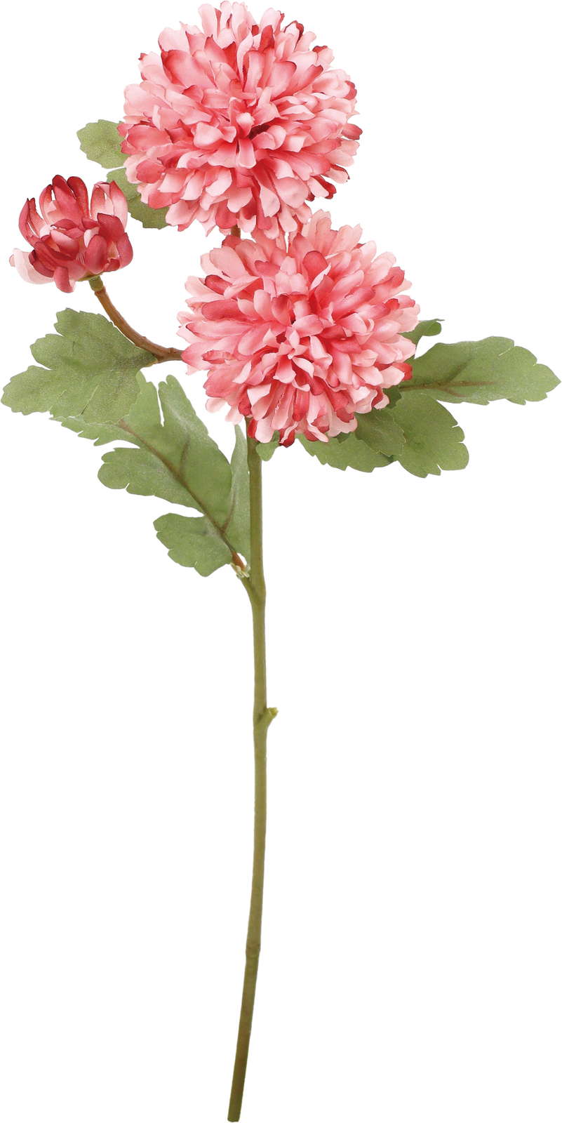 クレールボールマムスプレー