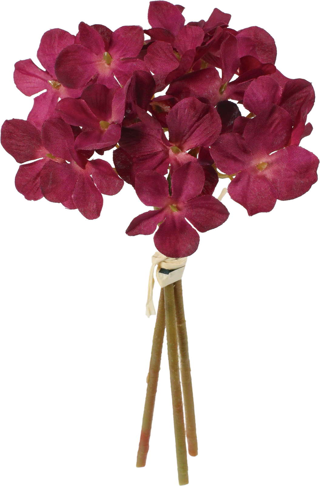 クレールアジサイバンドル