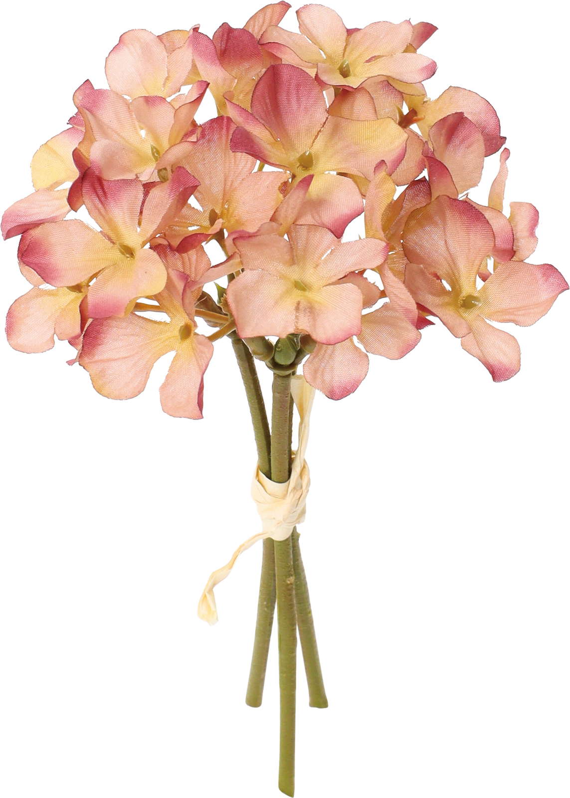 クレールアジサイバンドル